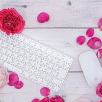 バラの花びらとキーボード