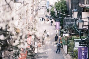 梅の花越しにみる商店街